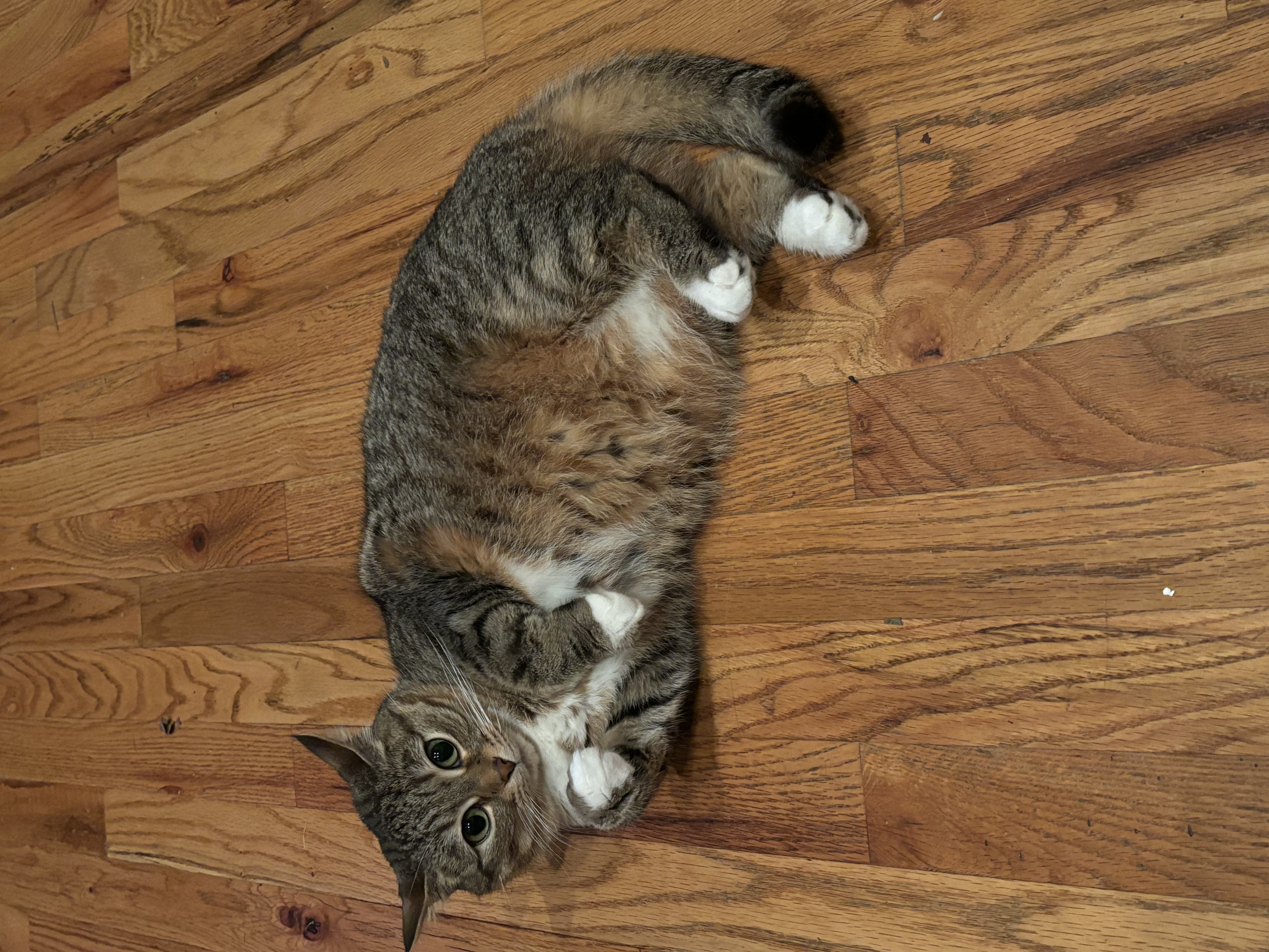 Ruby